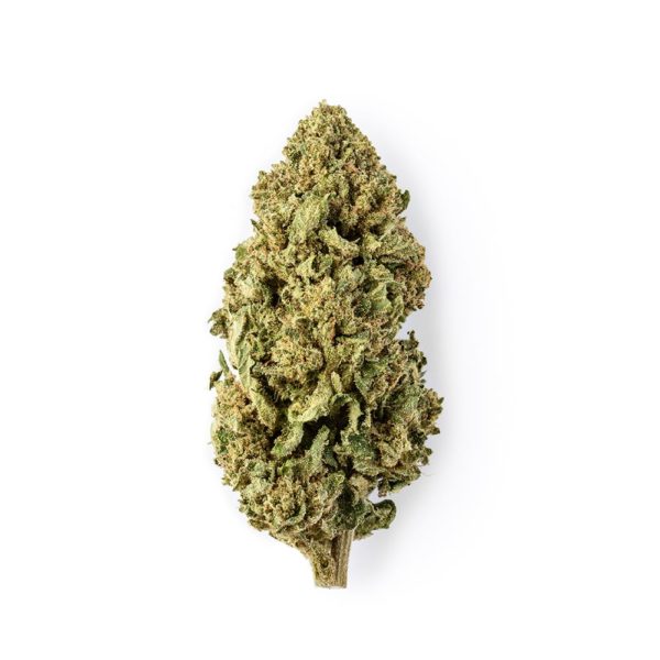 Green Passion Maui Wowy • CBD Flower Indoor 1
