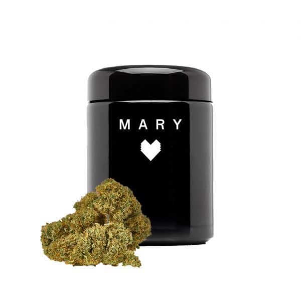 Mary Ice Queen • CBD Blüten Indoor