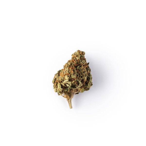 Green Passion Fruit Punch Popcorn • Small CBD Buds Indoor 1