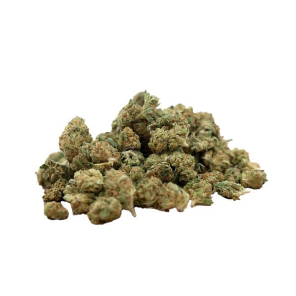 Herba di Berna Harlequin • Mini Buds CBD Indoor 2
