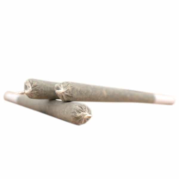 Herba di Berna Harlequin Trim Pre-Rolls • CBD Joints Indoor 2