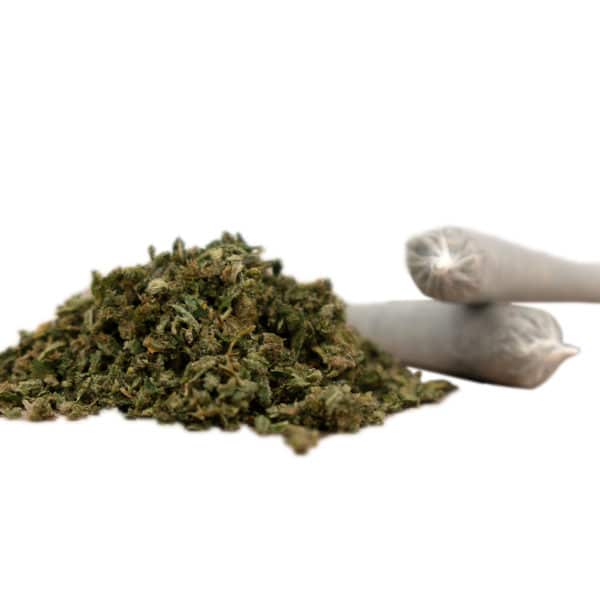 Herba di Berna Harlequin Trim Pre-Rolls • CBD Joints Indoor 1