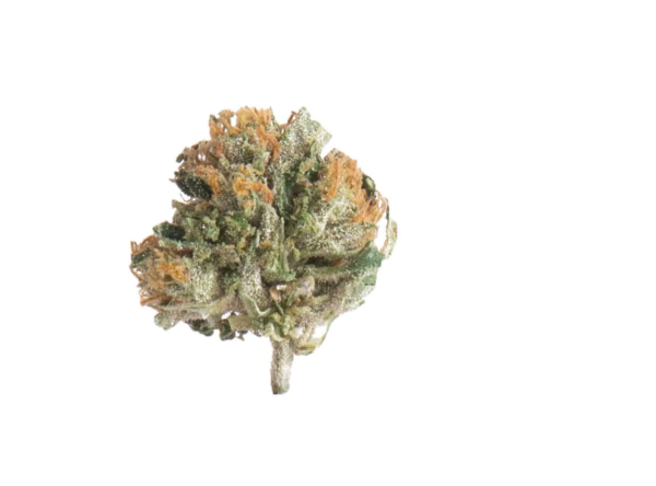 Slow Weed Snow White • CBG Flower Outdoor 1