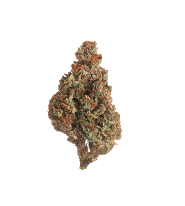 Slow Weed Fragolina Minibuds • Small CBD Buds Outdoor 2