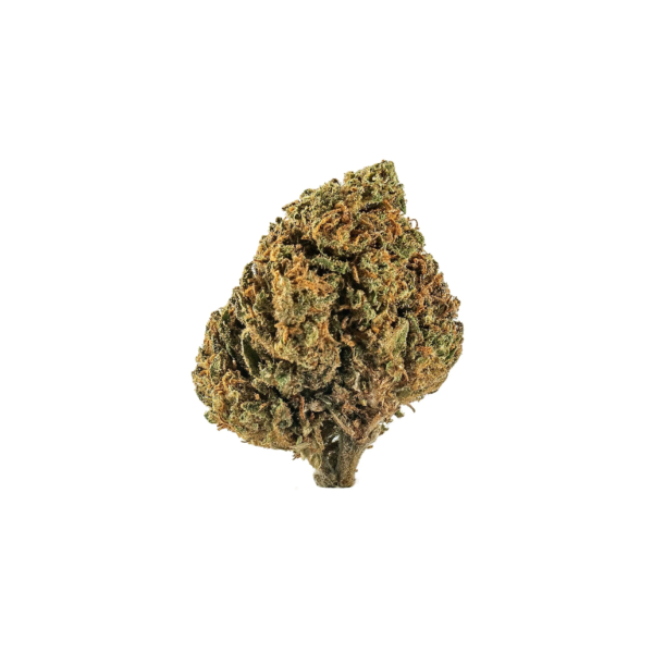 Slow Weed Fragolina Minibuds • Small CBD Buds Outdoor