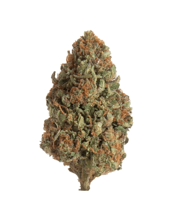Slow Weed Fragolina • Mini Buds CBD Greenhouse