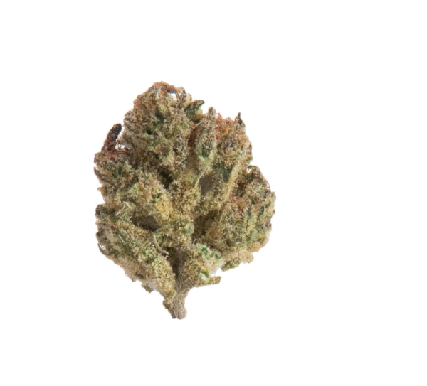 Slow Weed White Russian Minibuds • Small CBD Buds Greenhouse 1