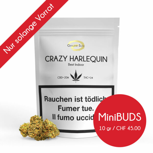 Genuine Swiss Crazy Harlequin • Mini Buds CBD Indoor
