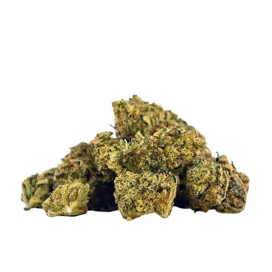 Herba di Berna Lemon Haze Minibuds • Small CBD Buds Indoor 2