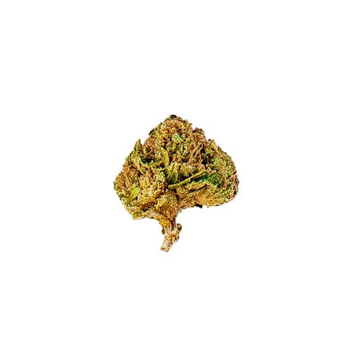 Slow Weed Candy Kush • Mini Buds CBD Greenhouse