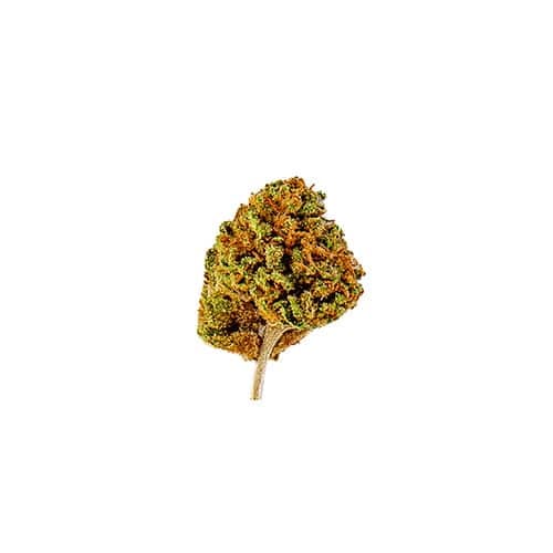 Slow Weed Blueberry Minibuds • Small CBD Buds Greenhouse