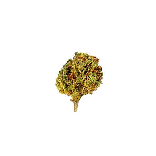 Slow Weed Passion Fruit Minibuds • Small CBD Buds Outdoor
