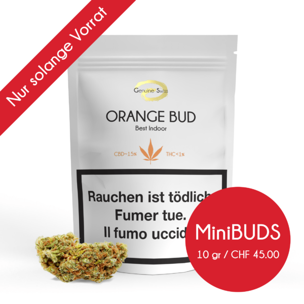 Genuine Swiss Orange Bud • Mini Buds CBD Indoor