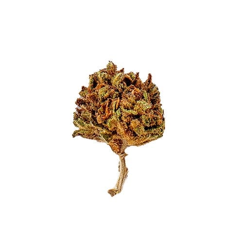Slow Weed Cookies Kush • Mini Buds CBD Outdoor 1