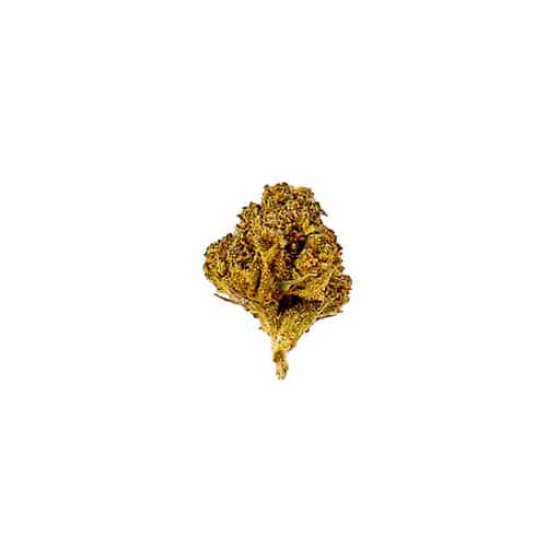 Slow Weed Waldbeeren Minibuds • Small CBD Buds Outdoor 1