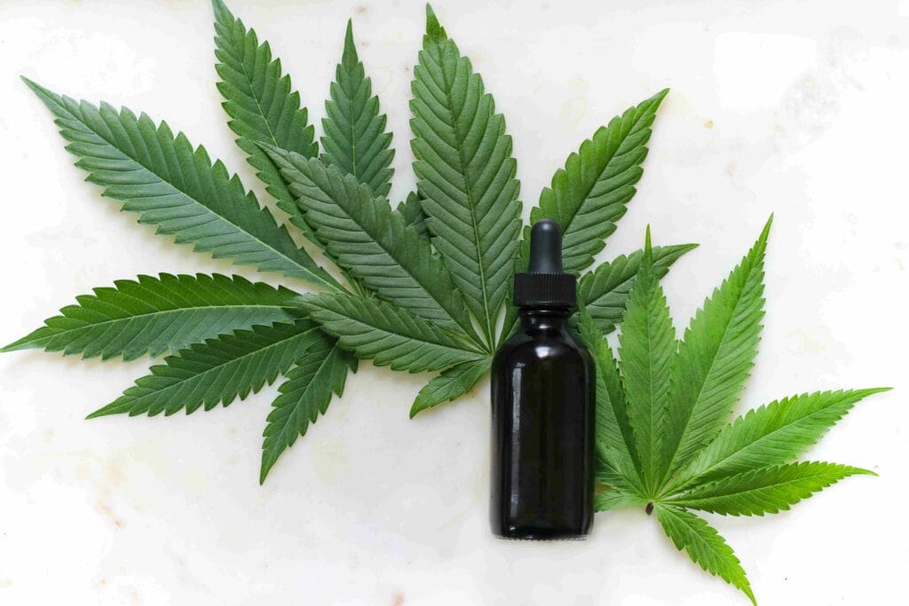 Qu'est-ce que le CBG, ou Cannabigérol, un cannabinoïde présent dans la plante de cannabis