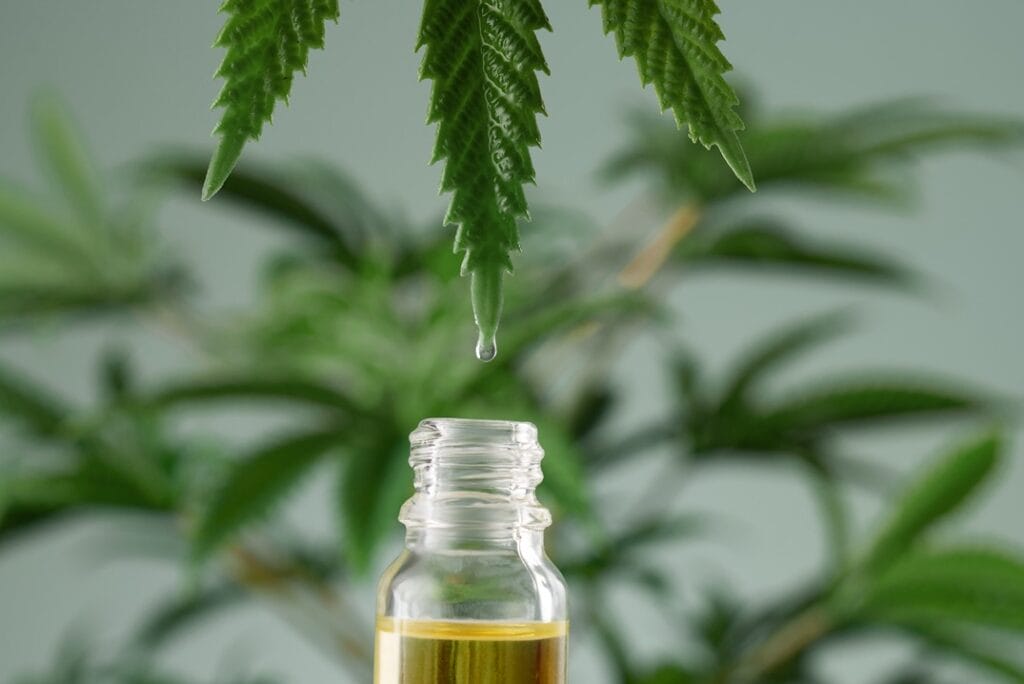 A drop of oil falling from a cannabis leaf into a bottle of CBD oil.
