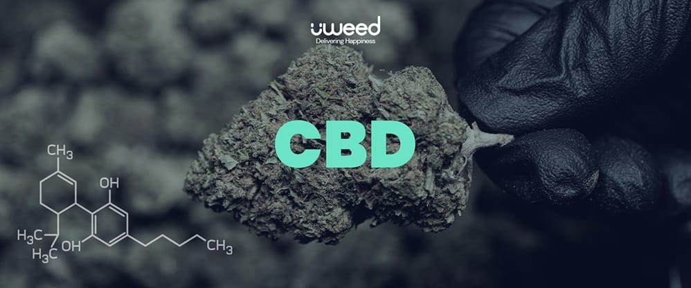 What is CBD? Definition of Cannabidiol by uWeed