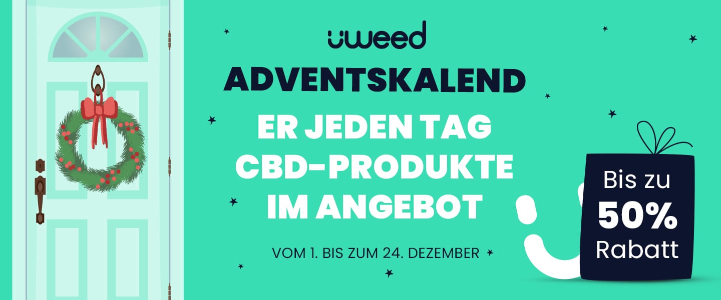 Bild des uWeed Adventskalenders mit nummerierten Fächern und festlicher Dekoration, der für jeden Tag im Dezember Schweizer CBD-Produkte hervorhebt
