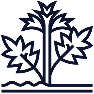 A pictogram representing a hemp stalk