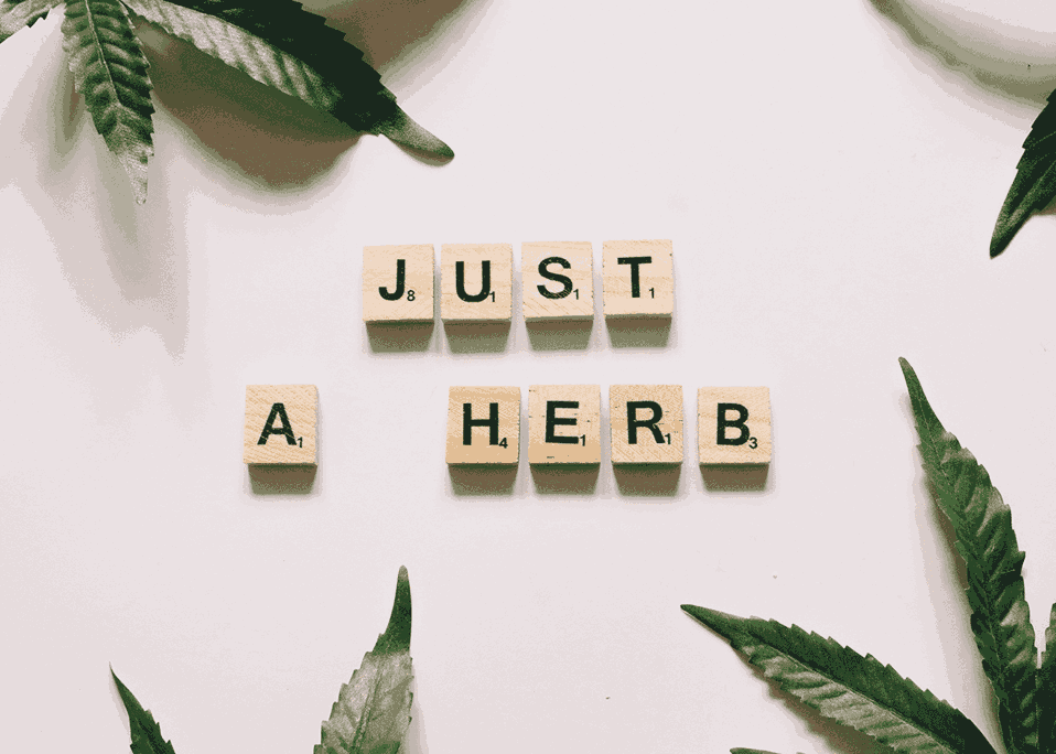 Bild mit dem Text"Just a herb" auf Englisch, Symbol von 420