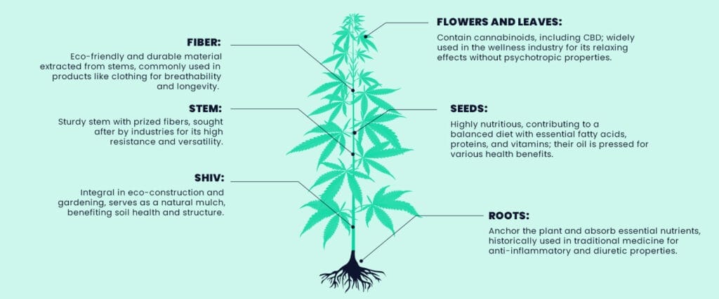 Hemp compositon in graphic form