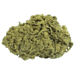 Lemon Gelato CBD Flowers Indoor