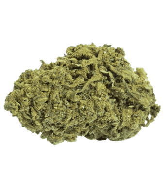 Lemon Gelato CBD Flowers Indoor