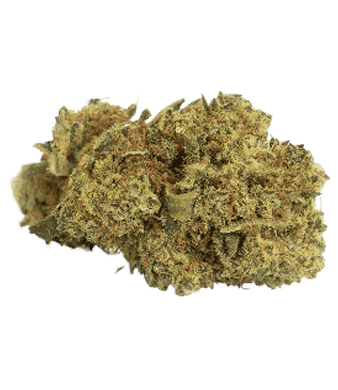 B-Chill Mojito Minibuds Small CBD Buds Indoor – Bild 2
