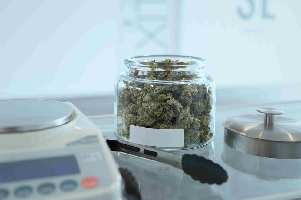 Zeigt CBG Blüten und Knospen in einem Glas, Das Glas befindet sich auf dem Tisch im Labor