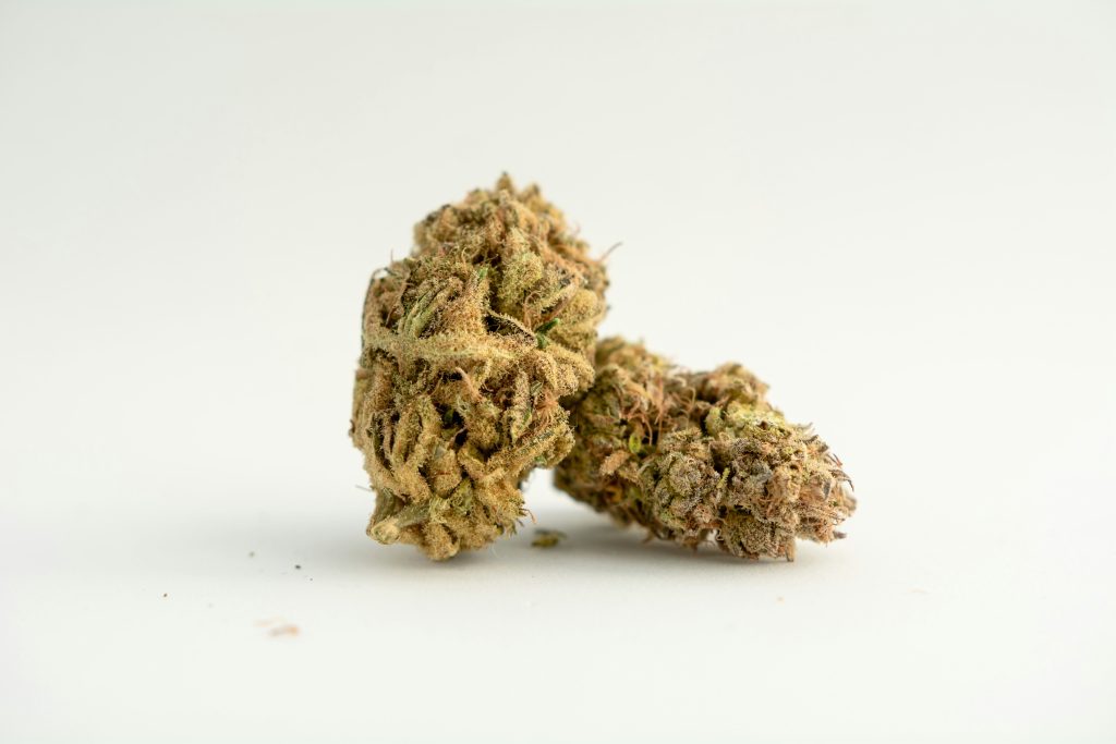 Zwei hochwertige CBD-Blüten mit goldenen Trichomen und vollem Terpenprofil