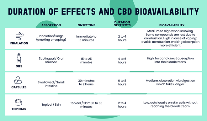 CBD oil effect duration and absorption in the body explained