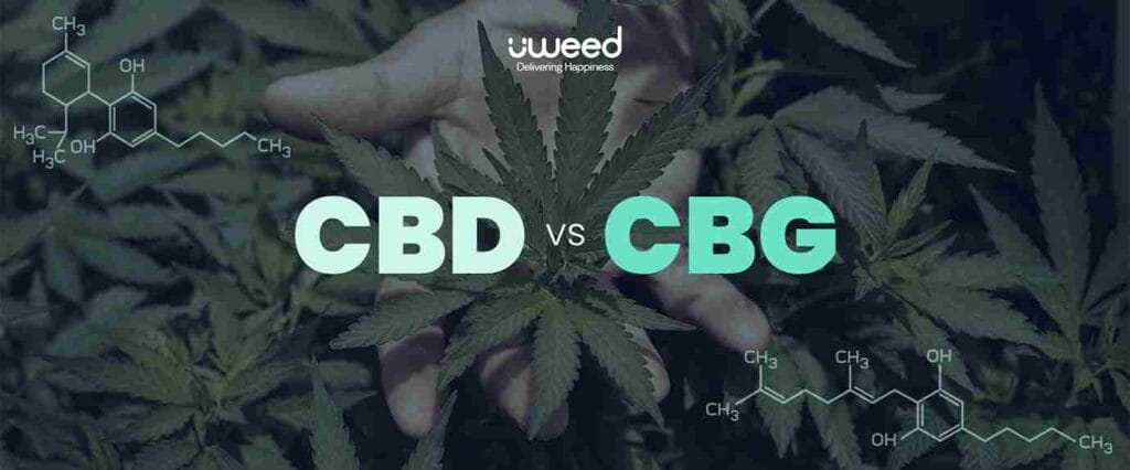 Unterschied zwischen CBD vs. CBG