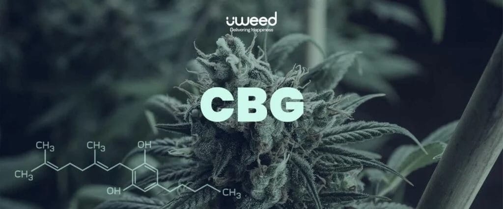 Illustration about CBG, definition of cannabigerol