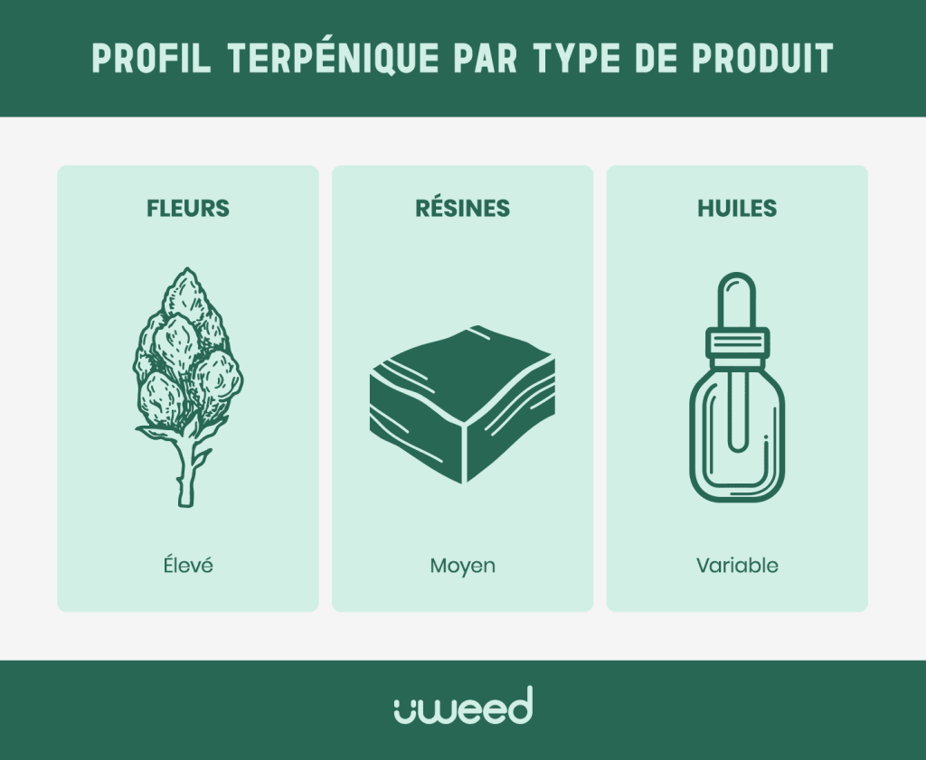 Comparaison des niveaux de concentration en terpènes entre fleurs, résines et huiles de CBD