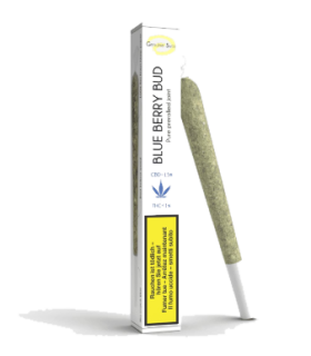 Genuine Swiss Blue Berry Bud Pre-Roll CBD Joint Indoor 1