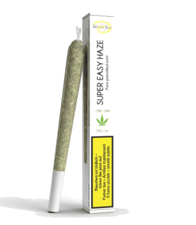 Genuine Swiss Super Easy Haze Pre-Roll CBD Joint Indoor 1