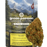 Green Passion Alpina Green CBD Blüten Outdoor