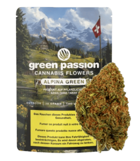 Green Passion Alpina Green CBD Flower Outdoor 1