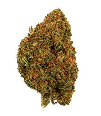 Green Passion Alpina Green CBD Flowers Outdoor – image 2