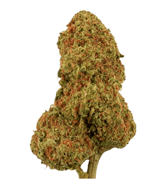 Green Passion Fruit Punch CBD Blüten Greenhouse – Bild 2