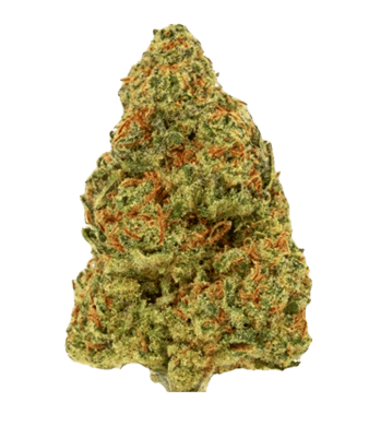 Green Passion Maui Kush CBD Flowers Indoor – image 2