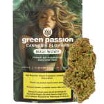 Green Passion Maui Wowy CBD Blüten Indoor