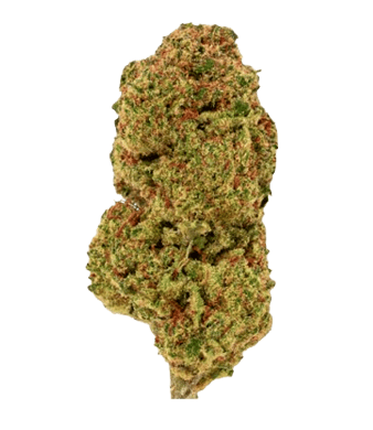 Green Passion Maui Wowy CBD Blüten Indoor – Bild 2