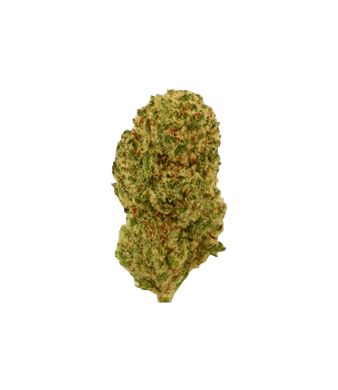 Green Passion Maui Wowy Popcorn Small CBD Buds Indoor – Bild 2