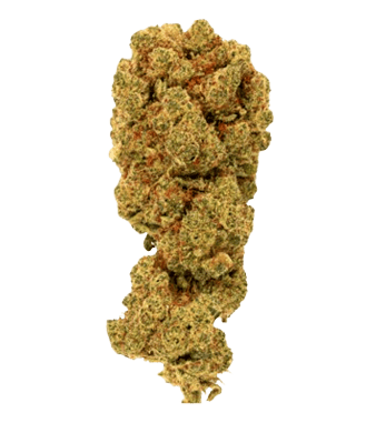 Green Passion Orange Passion CBD Blüten Indoor – Bild 2