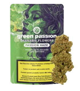 Green Passion Passion Haze CBD Flower Indoor 1