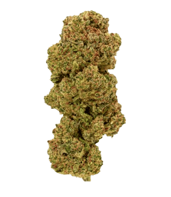 Passion Haze Fleurs de CBD Indoor