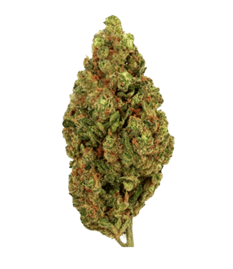 Green Passion Passion Kush CBD Blüten Indoor – Bild 2