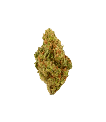 Green Passion Passion Kush Popcorn Fleurs de CBD Indoor – photo 2
